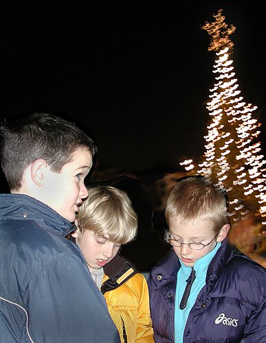 017 Under the Tree.jpg